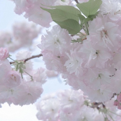 应县FurryQQ群介绍